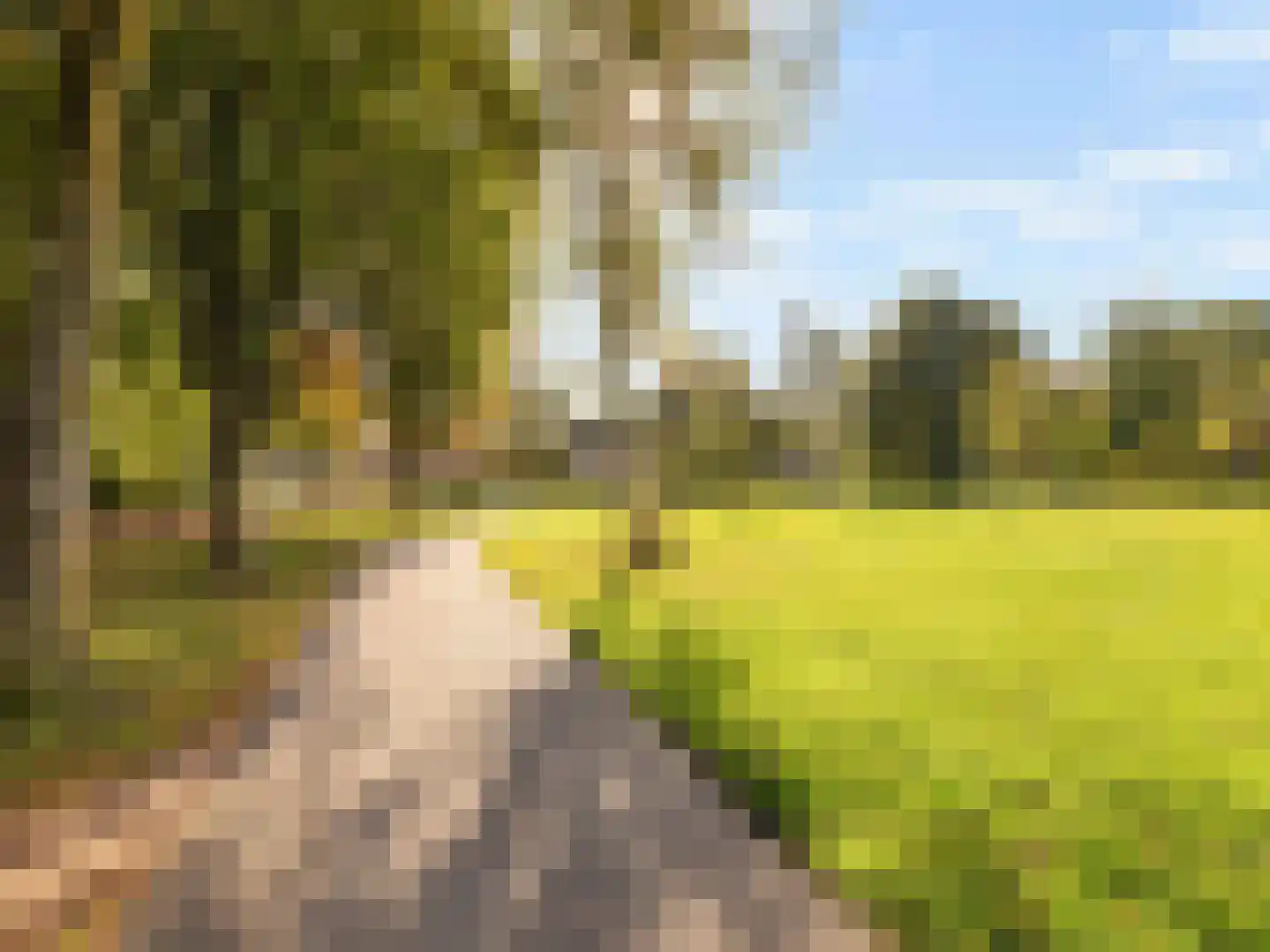 Augustinushof 15 Vianen thumbnail 48