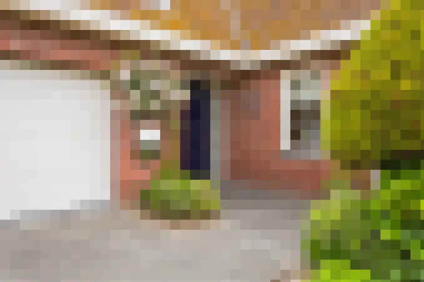 Augustinushof 15 Vrouwenpolder thumbnail 10