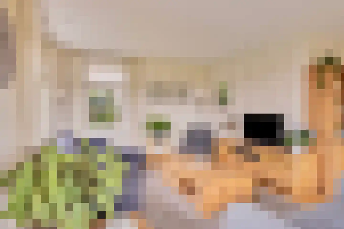 Augustinushof 15 Vrouwenpolder thumbnail 14