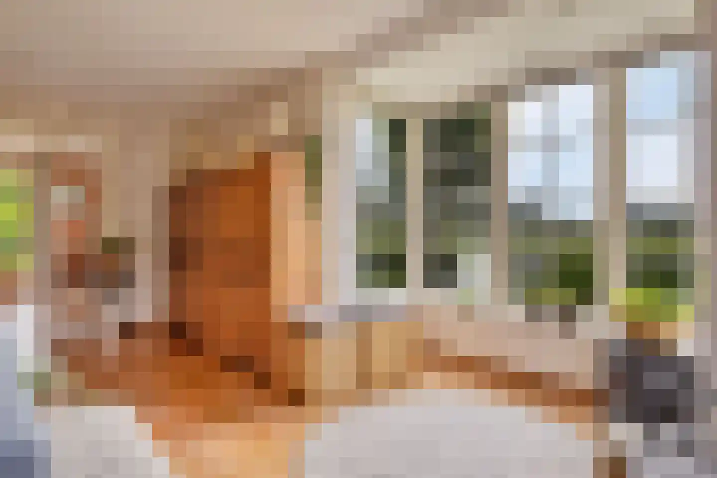 Augustinushof 15 Vrouwenpolder thumbnail 16