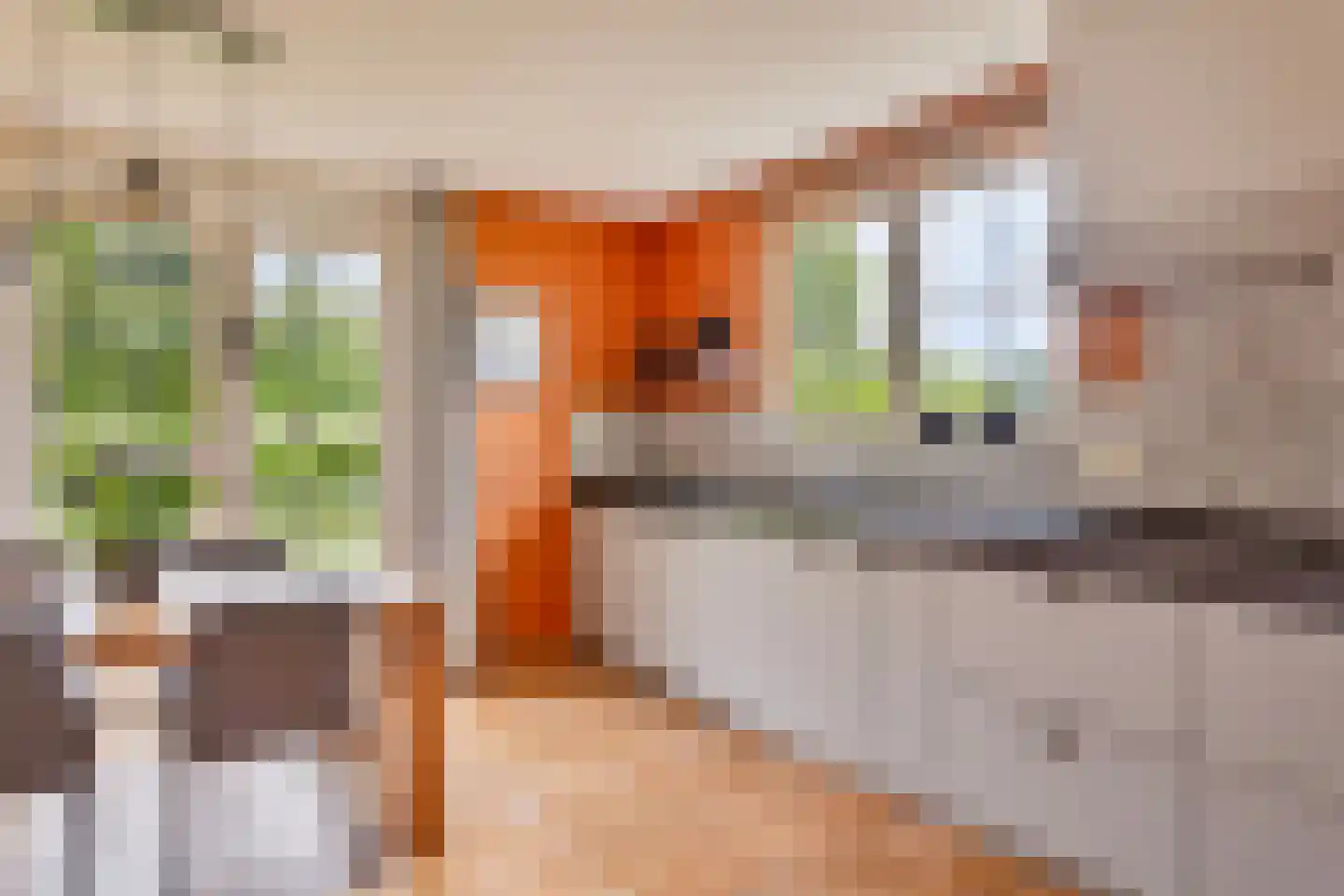Augustinushof 15 Vrouwenpolder thumbnail 18
