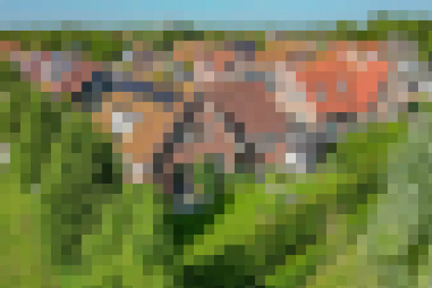 Augustinushof 15 Vrouwenpolder foto 2