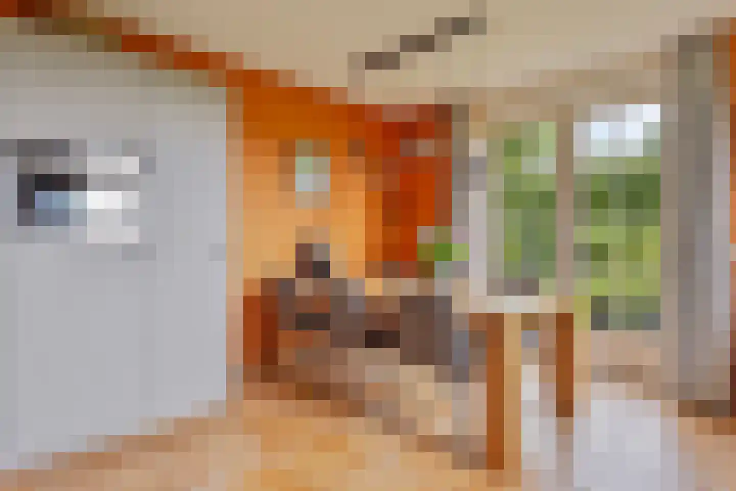 Augustinushof 15 Vrouwenpolder thumbnail 20