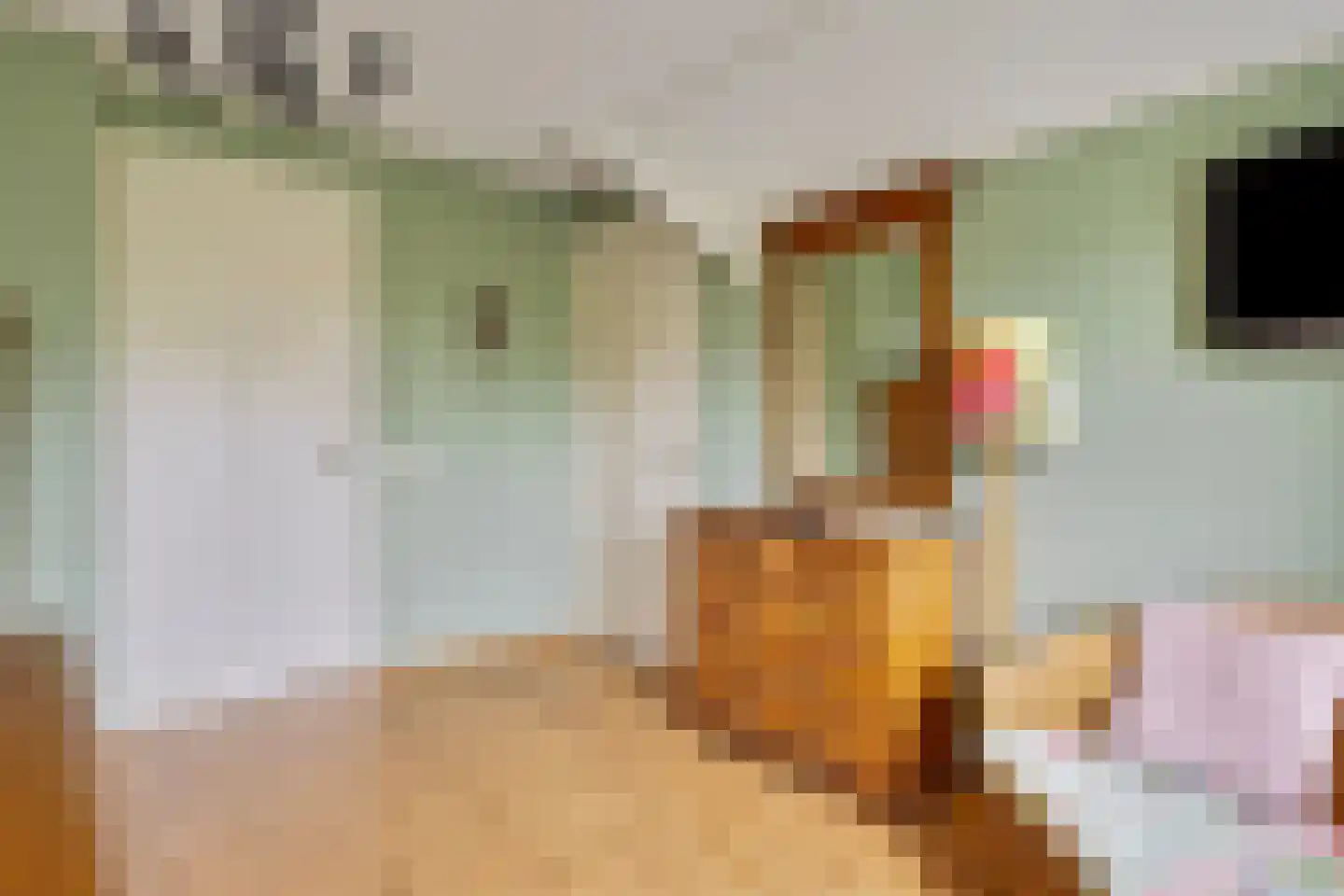Augustinushof 15 Vrouwenpolder thumbnail 25