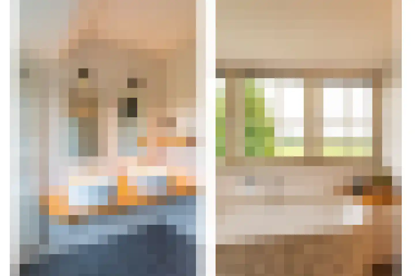 Augustinushof 15 Vrouwenpolder thumbnail 28