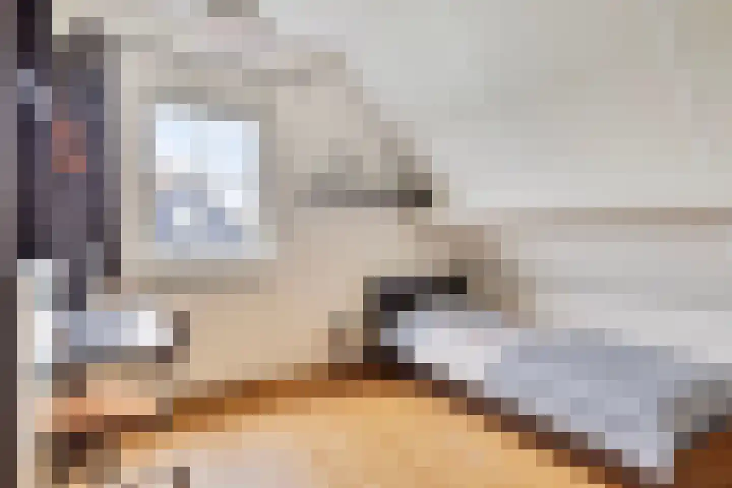 Augustinushof 15 Vrouwenpolder thumbnail 32