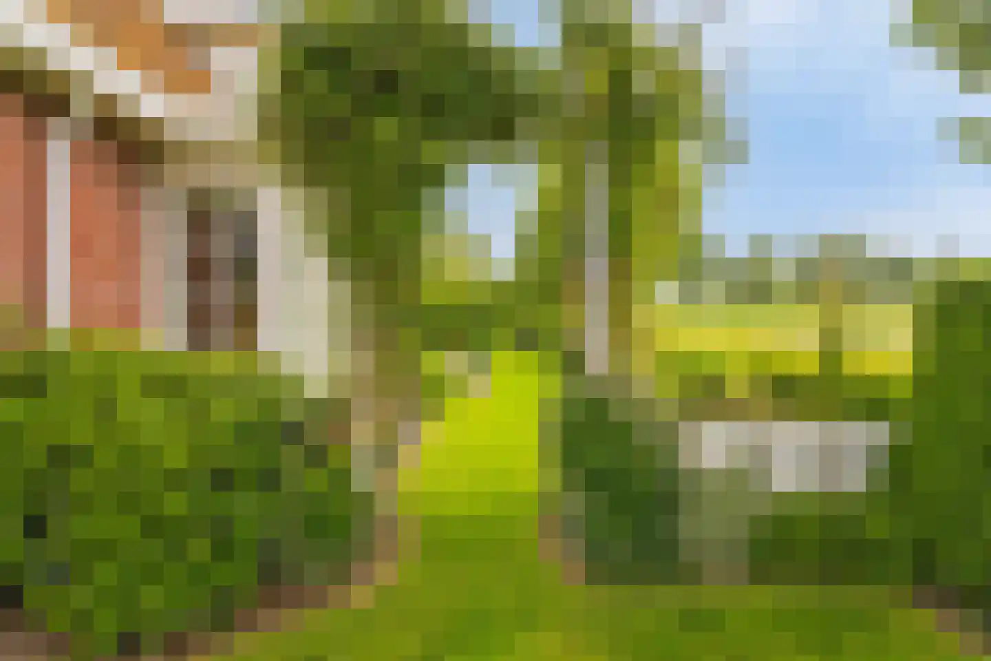 Augustinushof 15 Vrouwenpolder thumbnail 38