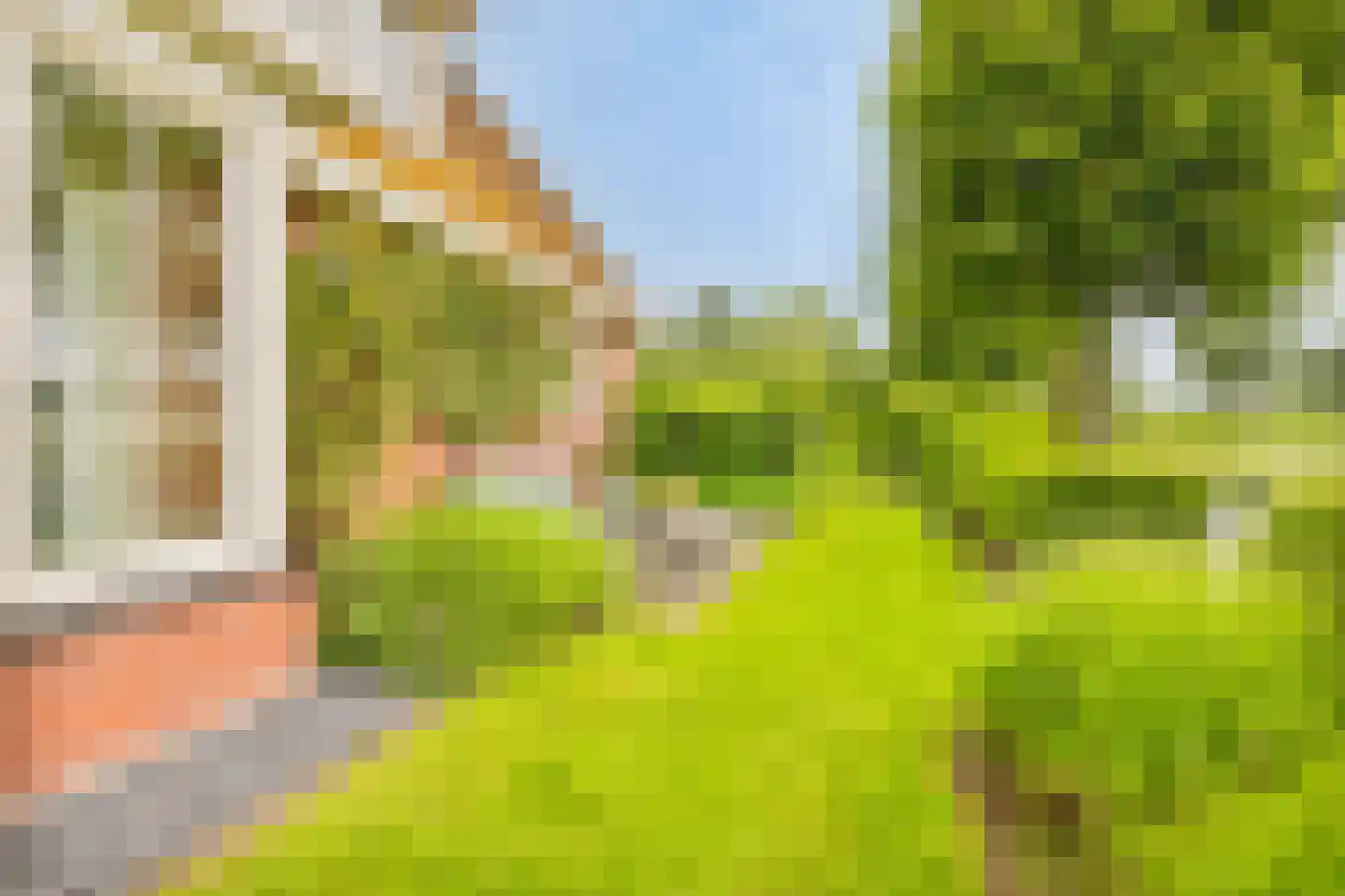 Augustinushof 15 Vrouwenpolder thumbnail 40