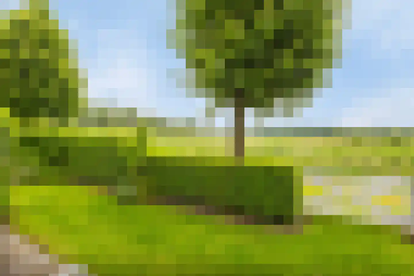 Augustinushof 15 Vrouwenpolder thumbnail 41