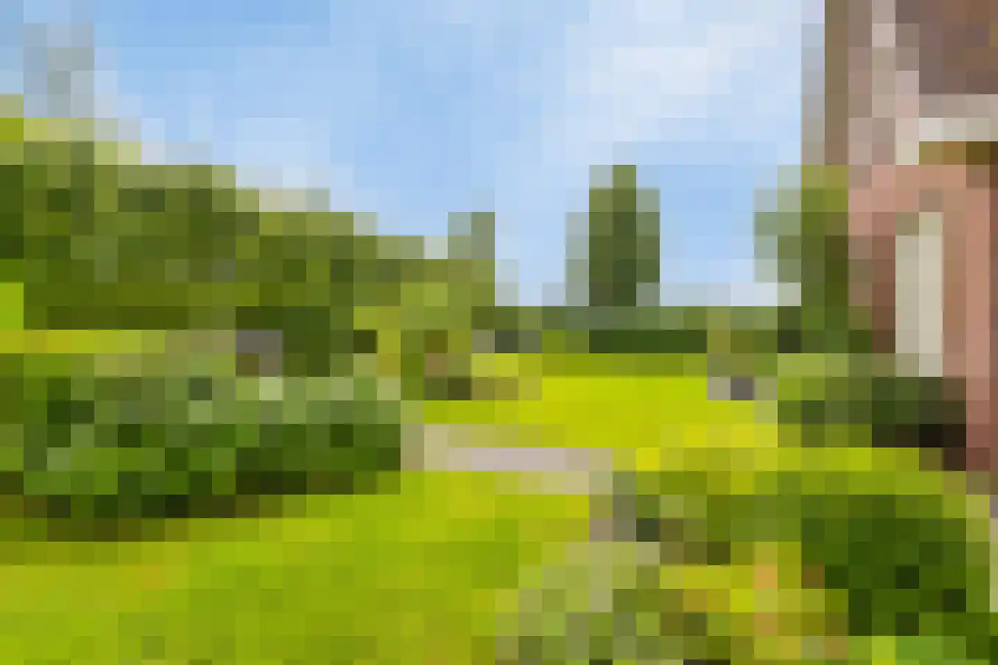 Augustinushof 15 Vrouwenpolder thumbnail 44