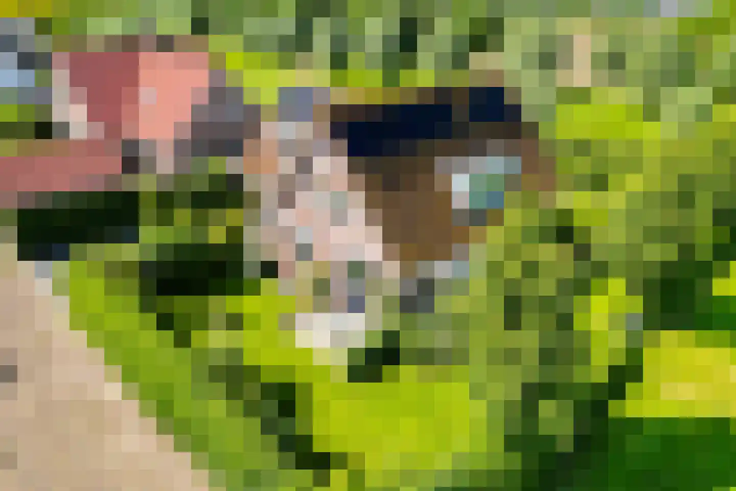 Augustinushof 15 Vrouwenpolder thumbnail 46