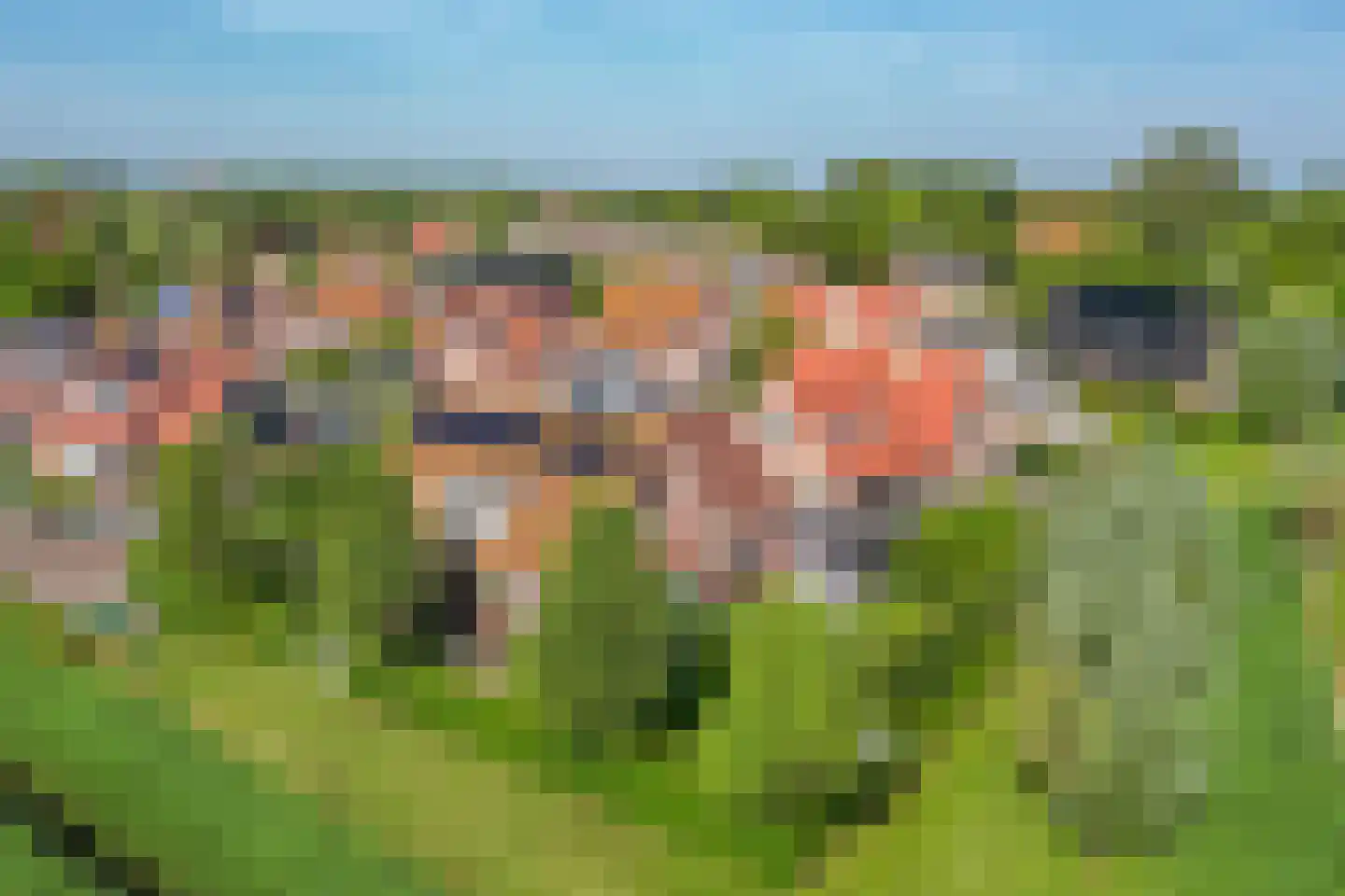 Augustinushof 15 Vrouwenpolder thumbnail 47