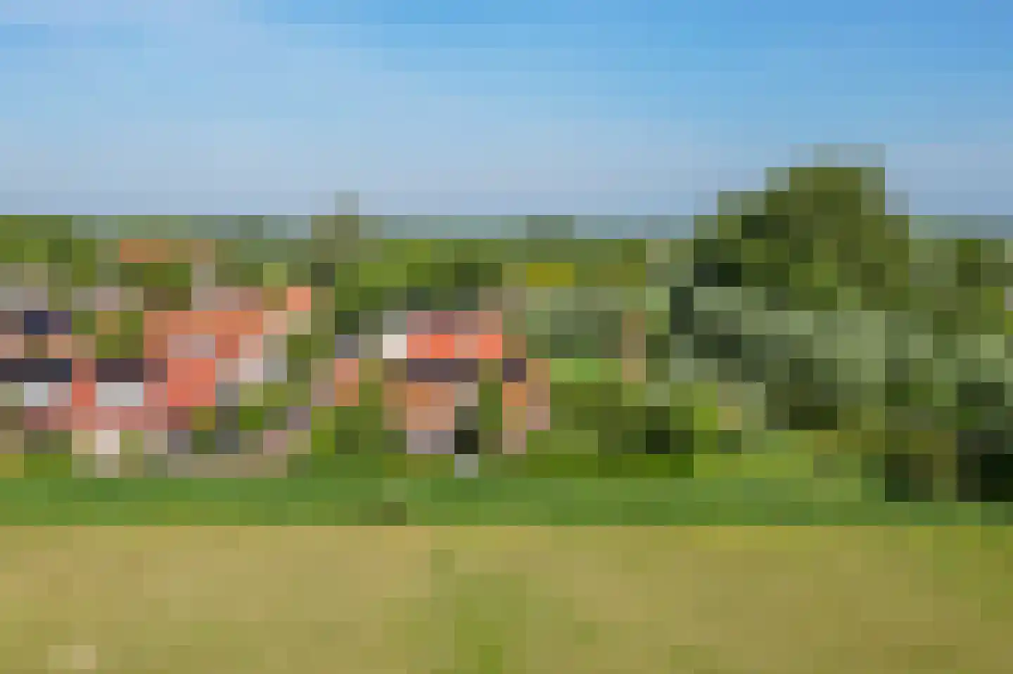 Augustinushof 15 Vrouwenpolder thumbnail 49