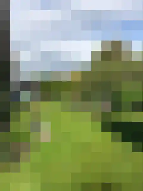 Augustinushof 15 Vrouwenpolder thumbnail 5