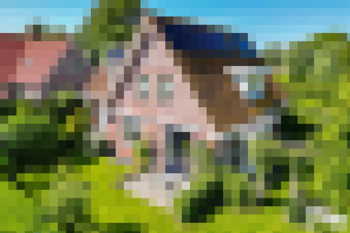 Augustinushof 15 Vrouwenpolder thumbnail 7