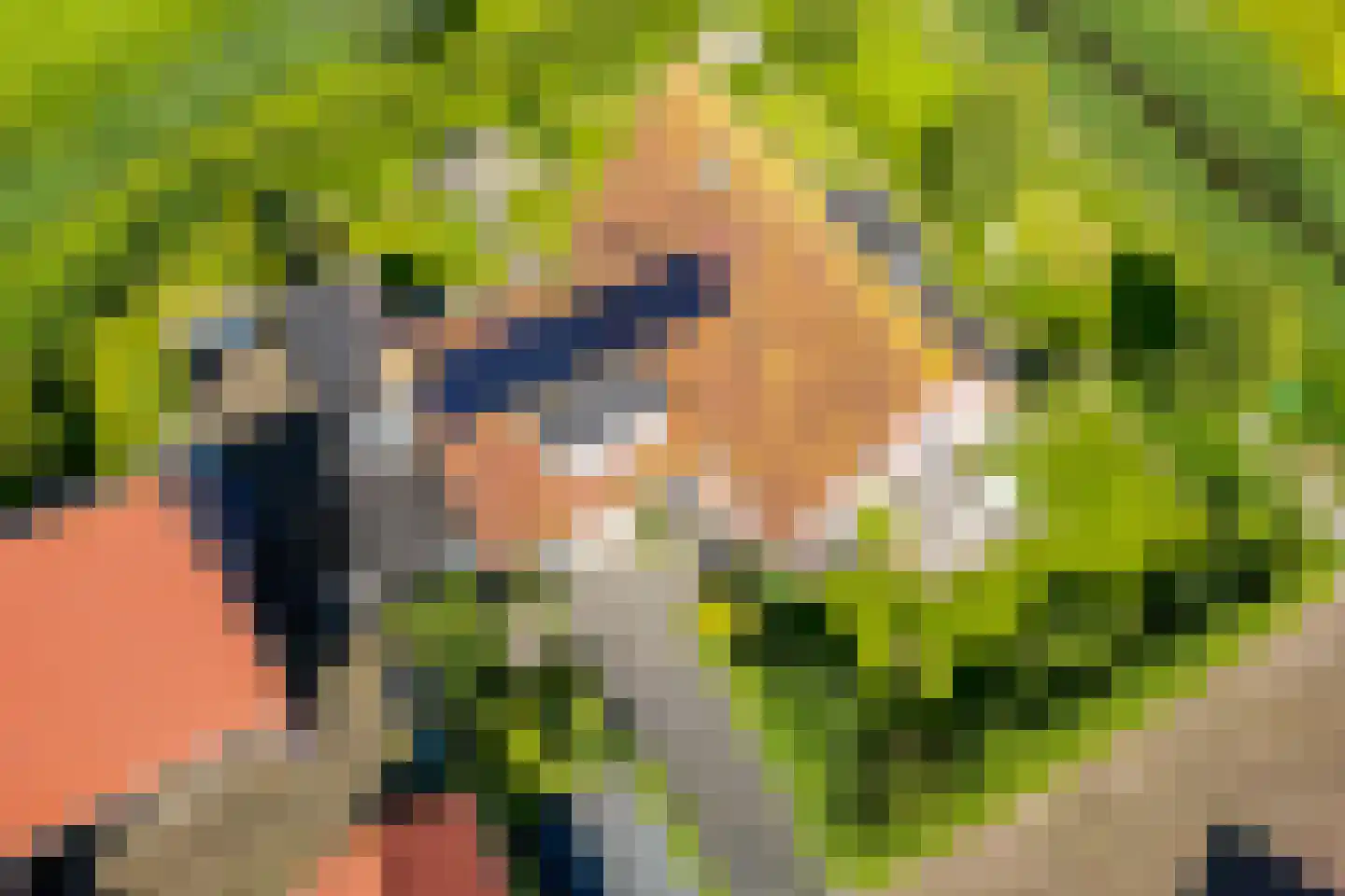 Augustinushof 15 Vrouwenpolder thumbnail 8