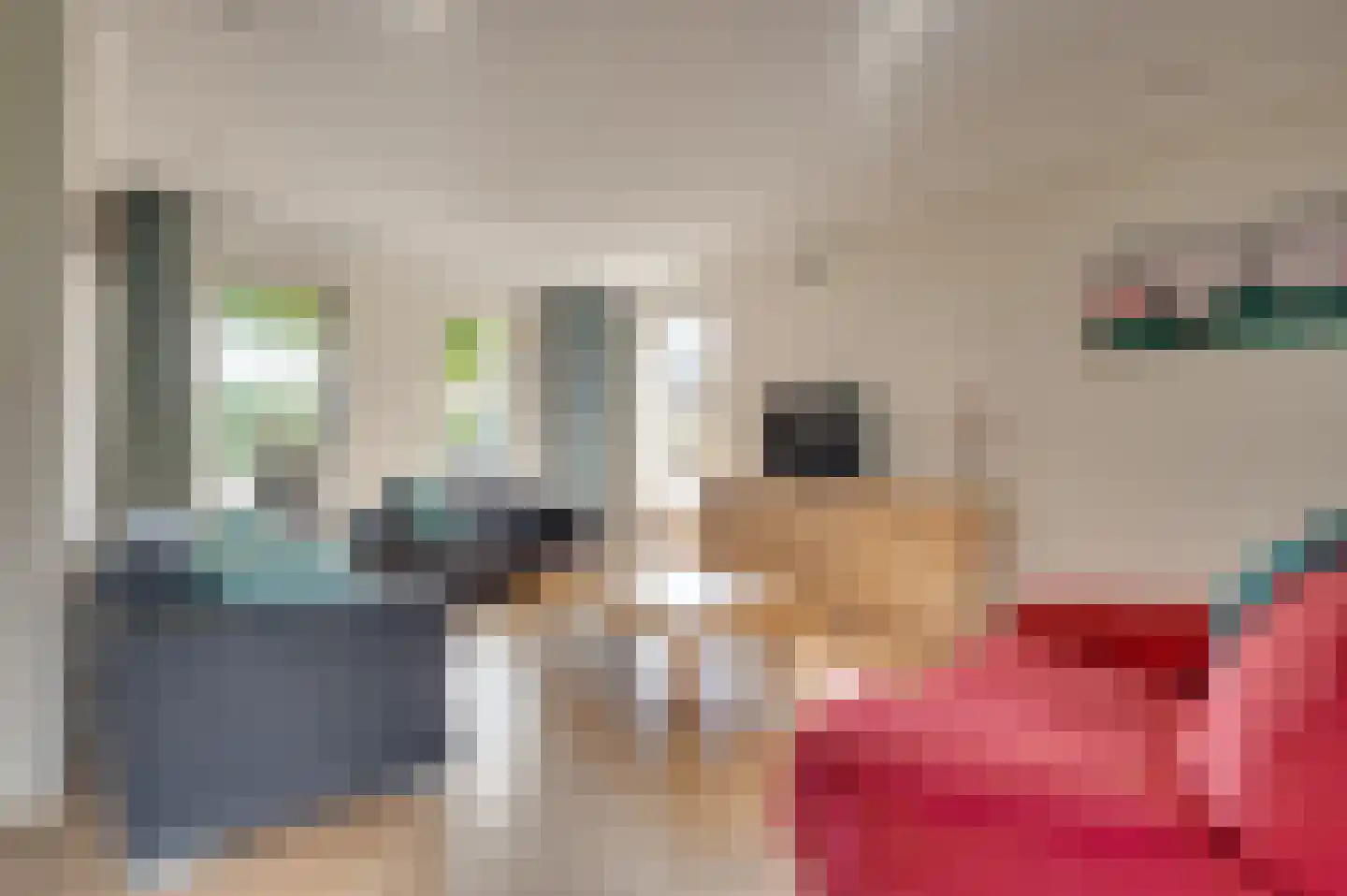 Augustinushof 5 Vrouwenpolder thumbnail 14