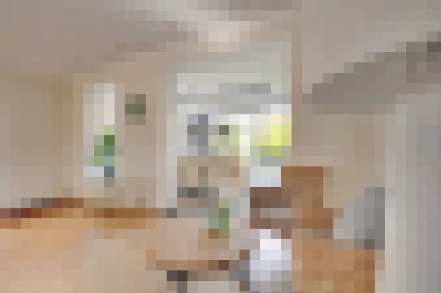 Augustinushof 5 Vrouwenpolder thumbnail 18