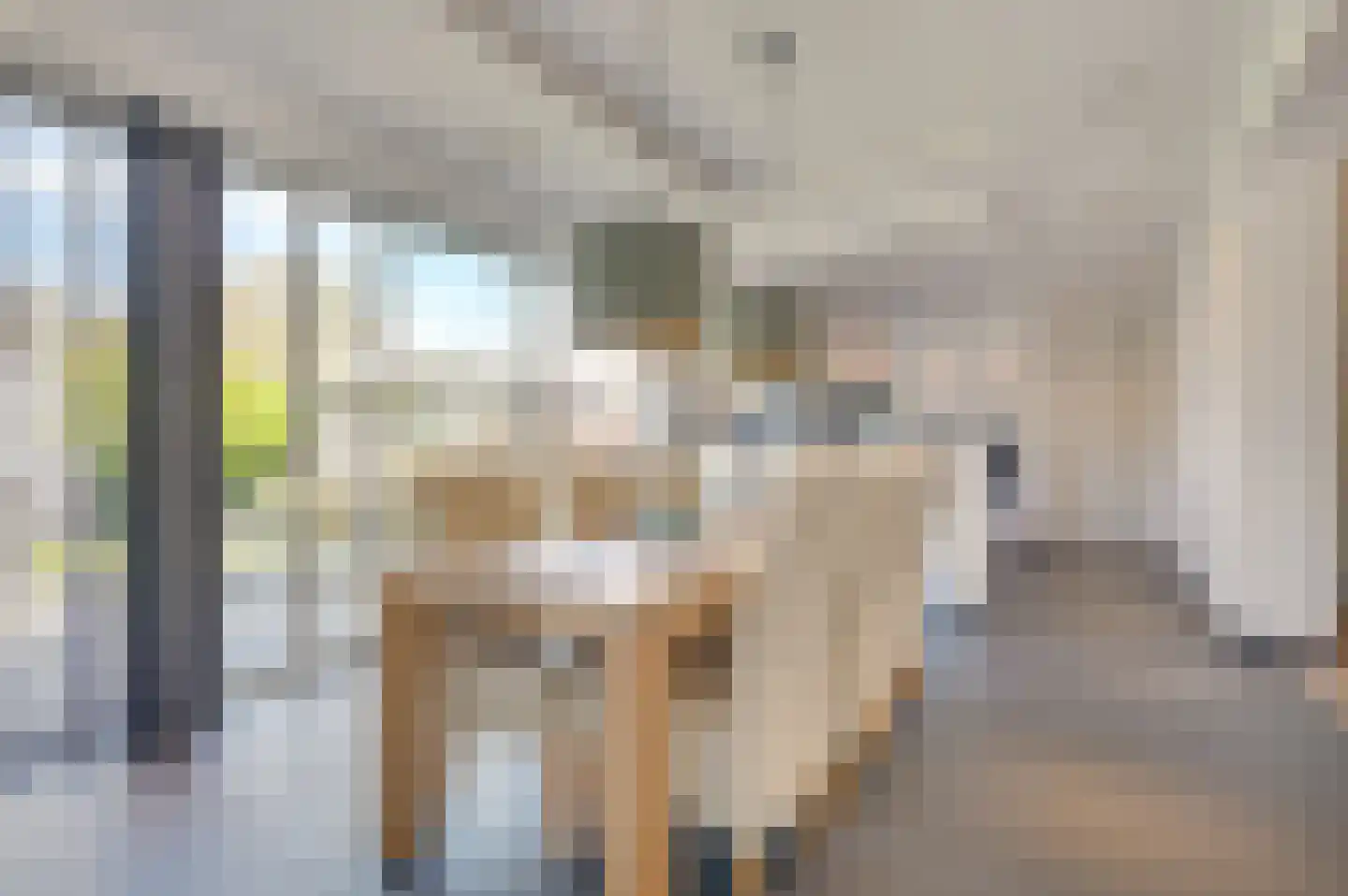 Augustinushof 5 Vrouwenpolder thumbnail 20