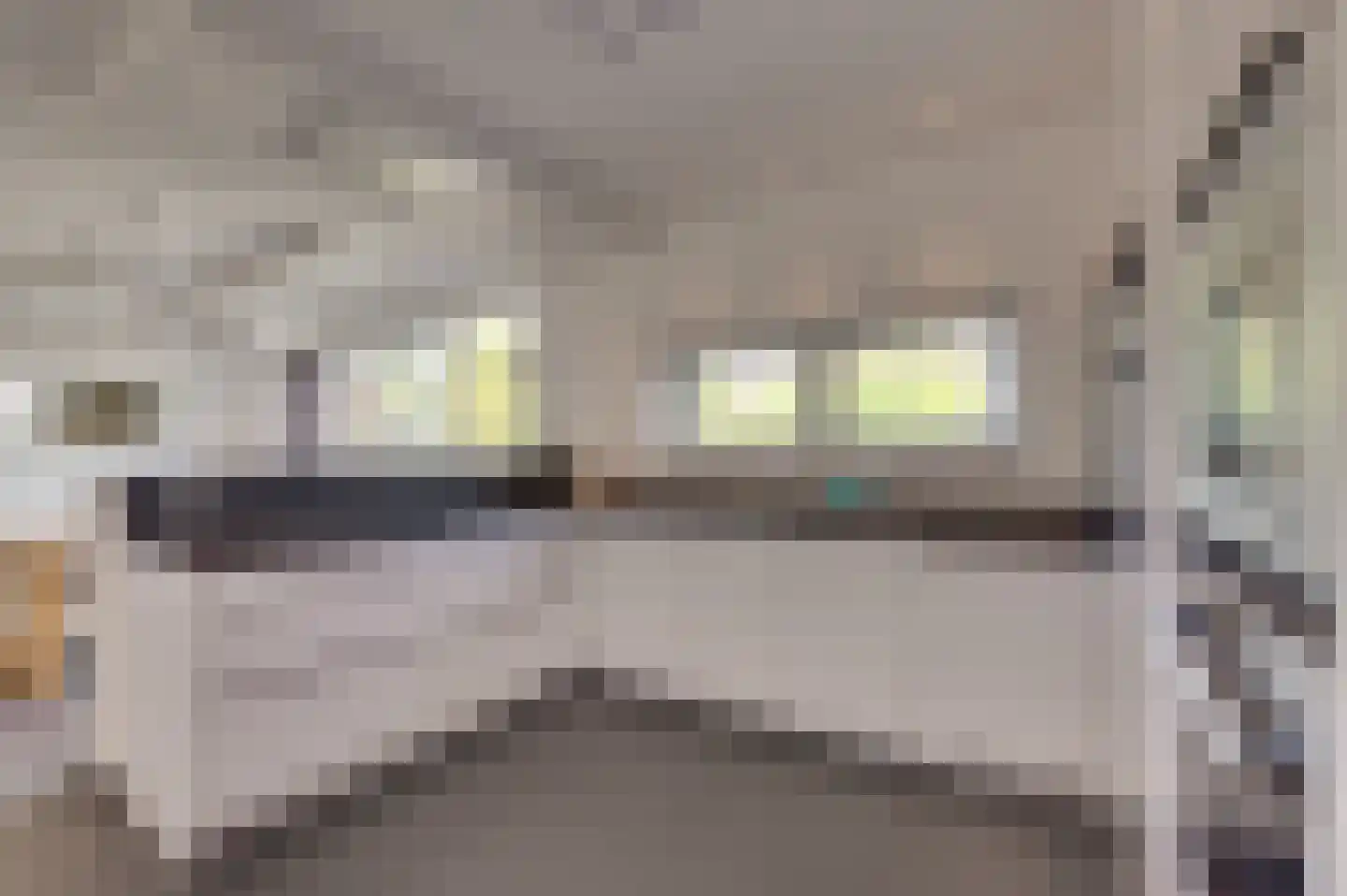 Augustinushof 5 Vrouwenpolder thumbnail 21