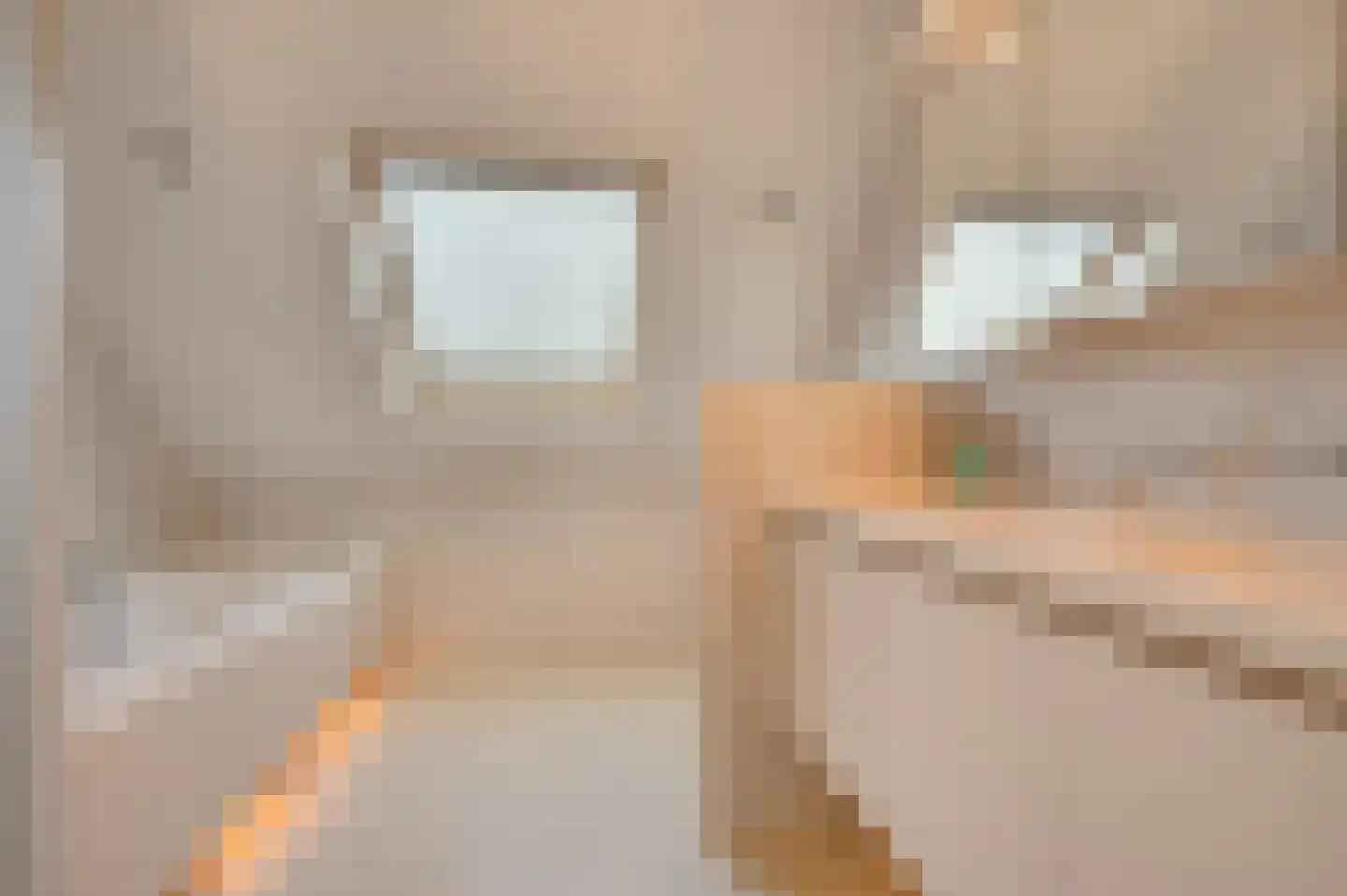 Augustinushof 5 Vrouwenpolder thumbnail 35