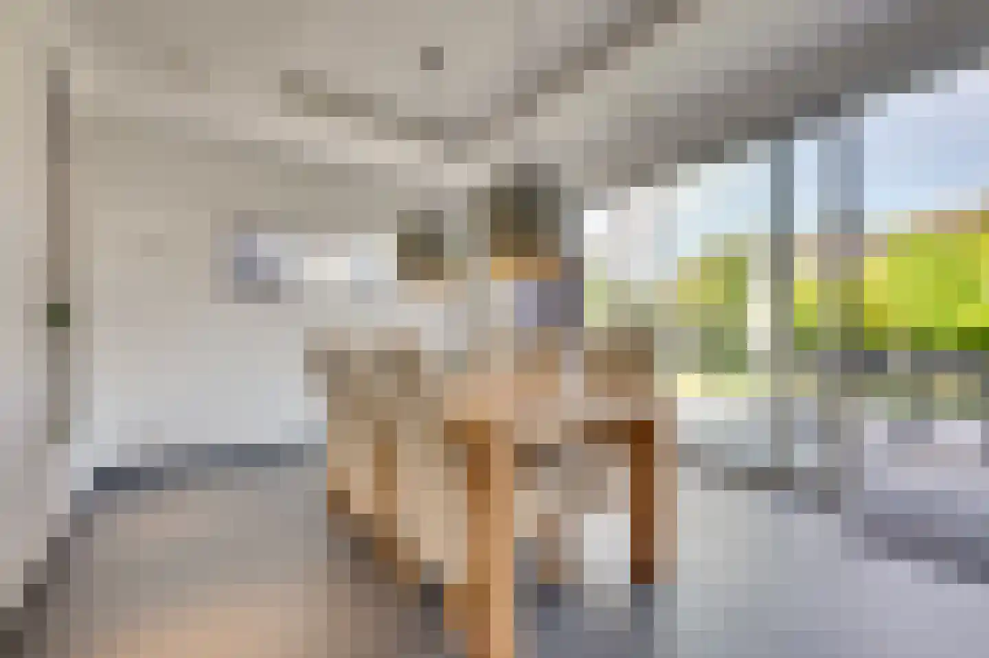 Augustinushof 5 Vrouwenpolder thumbnail 4