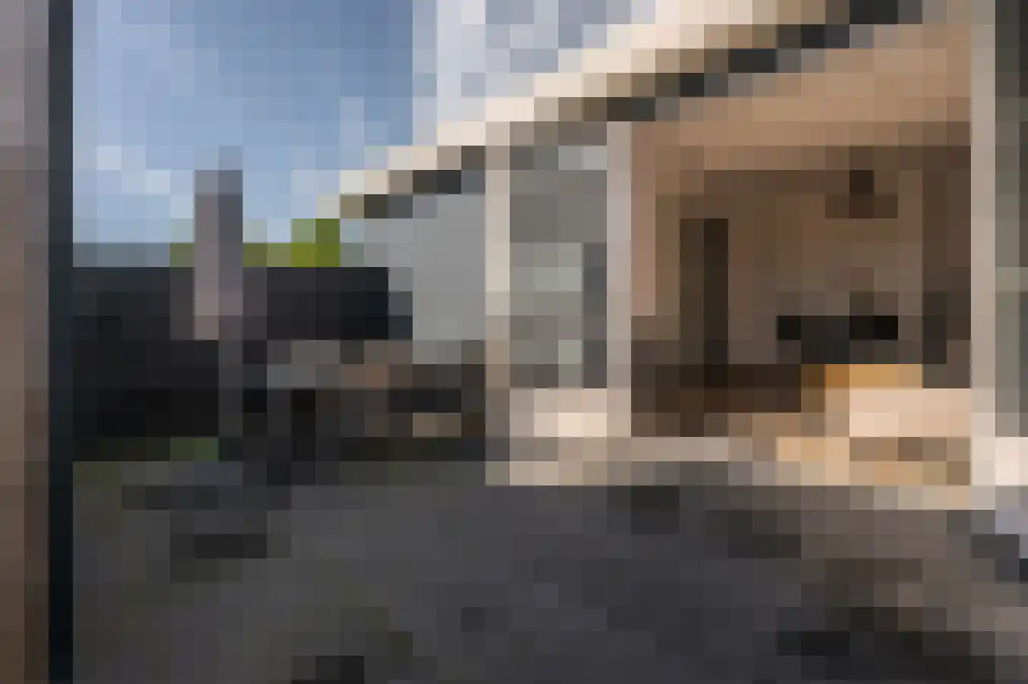 Augustinushof 5 Vrouwenpolder thumbnail 45