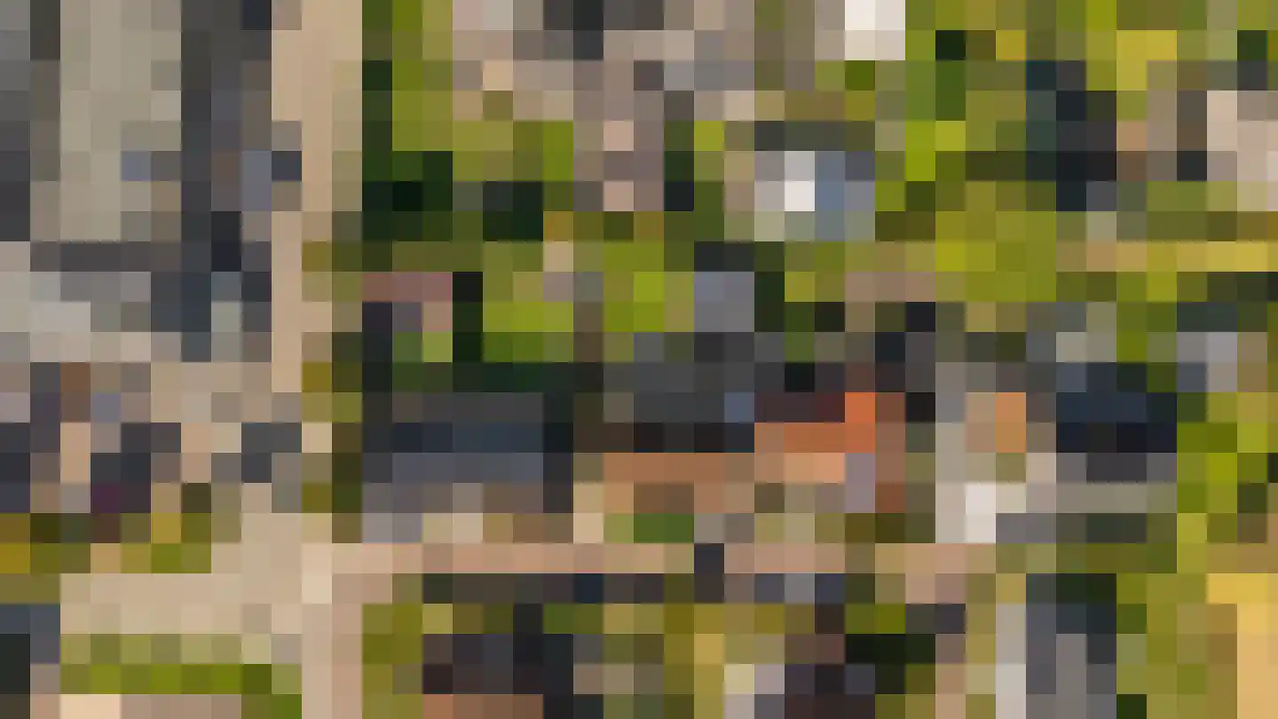 Augustinushof 5 Vrouwenpolder thumbnail 57
