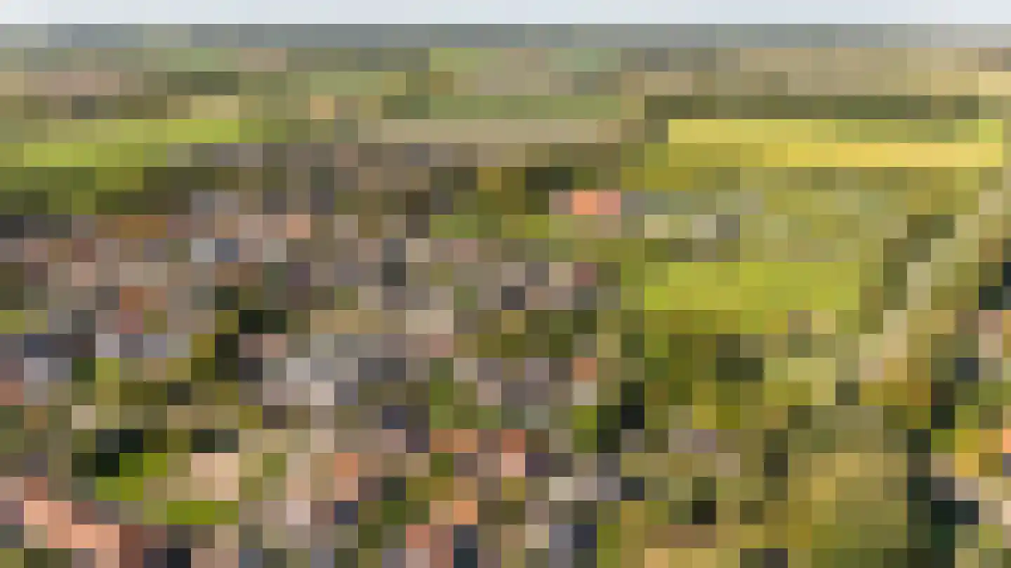 Augustinushof 5 Vrouwenpolder thumbnail 58