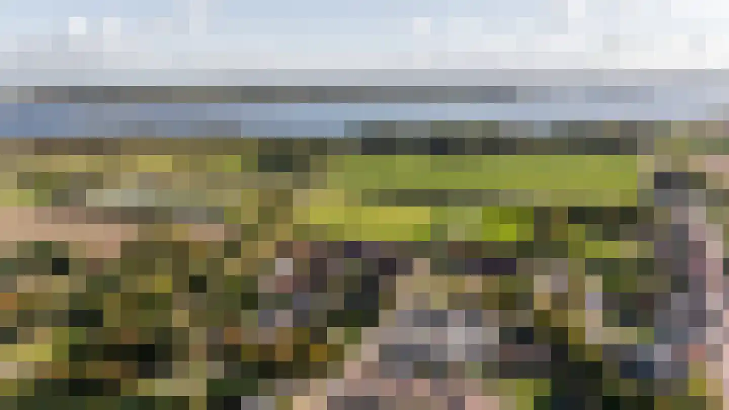 Augustinushof 5 Vrouwenpolder thumbnail 59