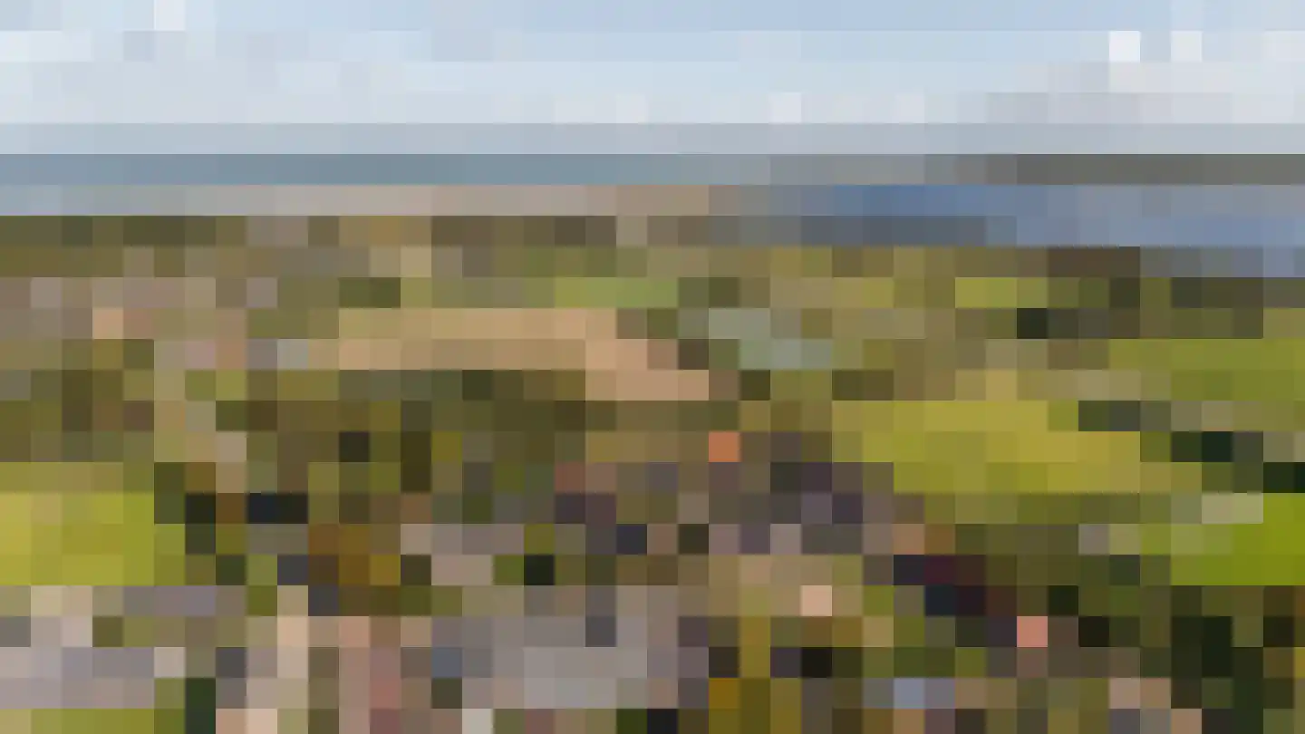 Augustinushof 5 Vrouwenpolder thumbnail 60
