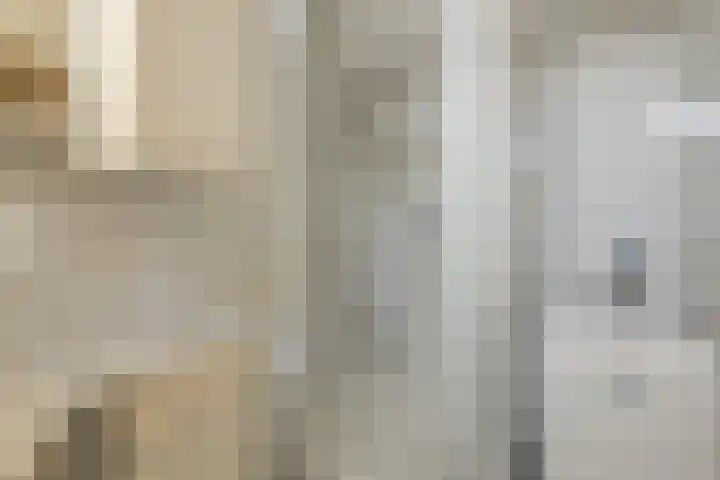 Augustinusstraat 35 Rotterdam thumbnail 17
