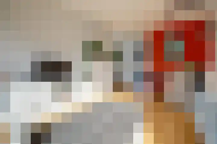 Augustinusstraat 45 Rotterdam thumbnail 8