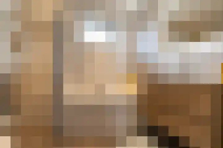 Augustinusstraat 8 Groningen thumbnail 20