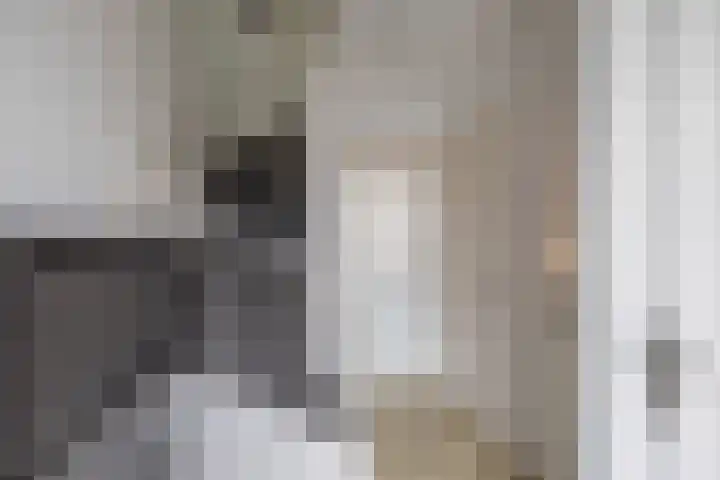 Augustinusstraat 8 Groningen thumbnail 7