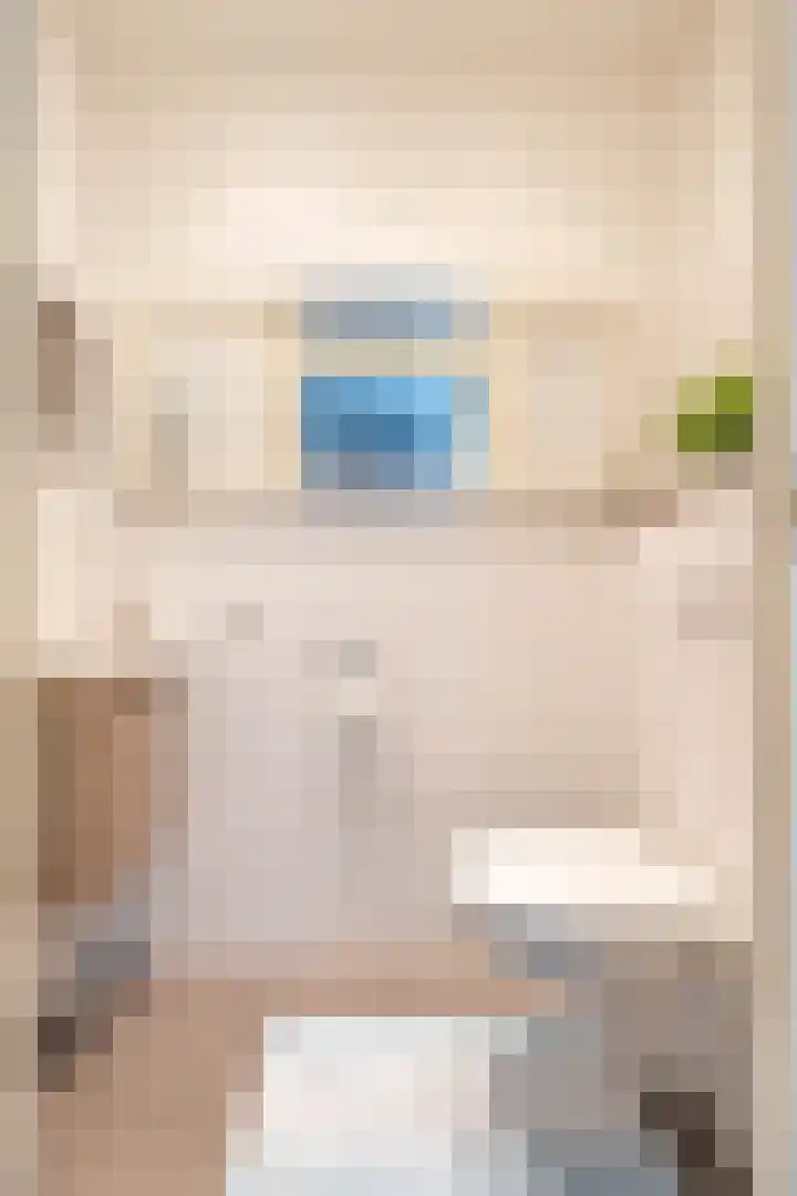 Augustinusstraat 8 Groningen thumbnail 8