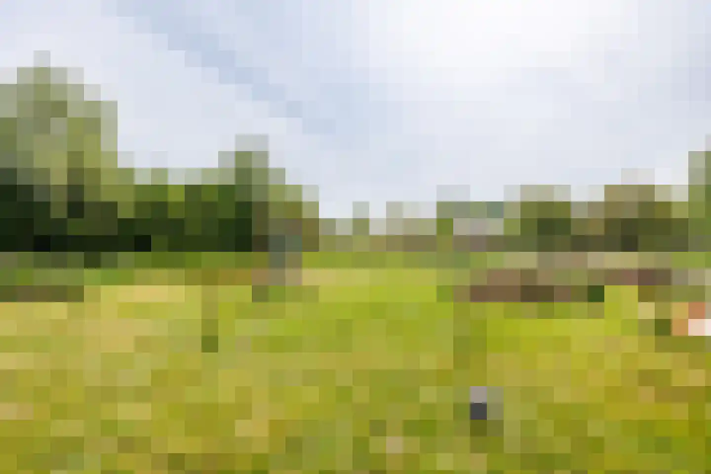 Augustinusweg 30 Siebengewald thumbnail 10