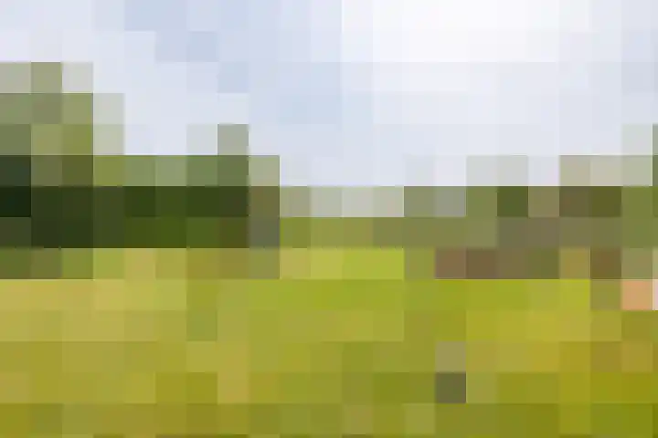 Augustinusweg 30 Siebengewald thumbnail 10