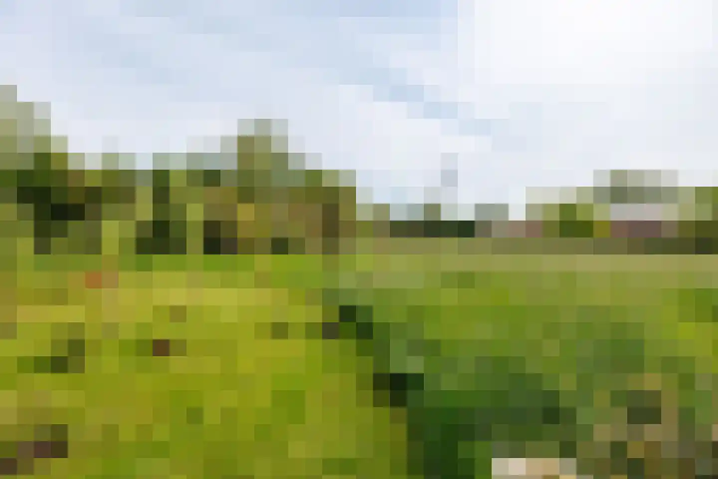 Augustinusweg 30 Siebengewald thumbnail 11