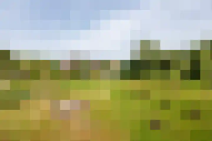 Augustinusweg 30 Siebengewald thumbnail 12