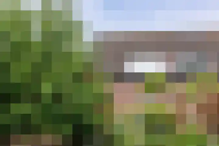 Augustinusweg 30 Siebengewald thumbnail 14