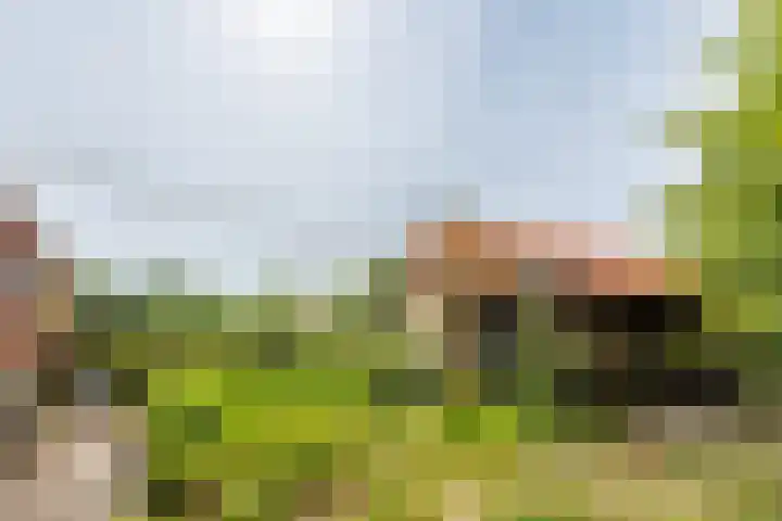 Augustinusweg 30 Siebengewald thumbnail 18