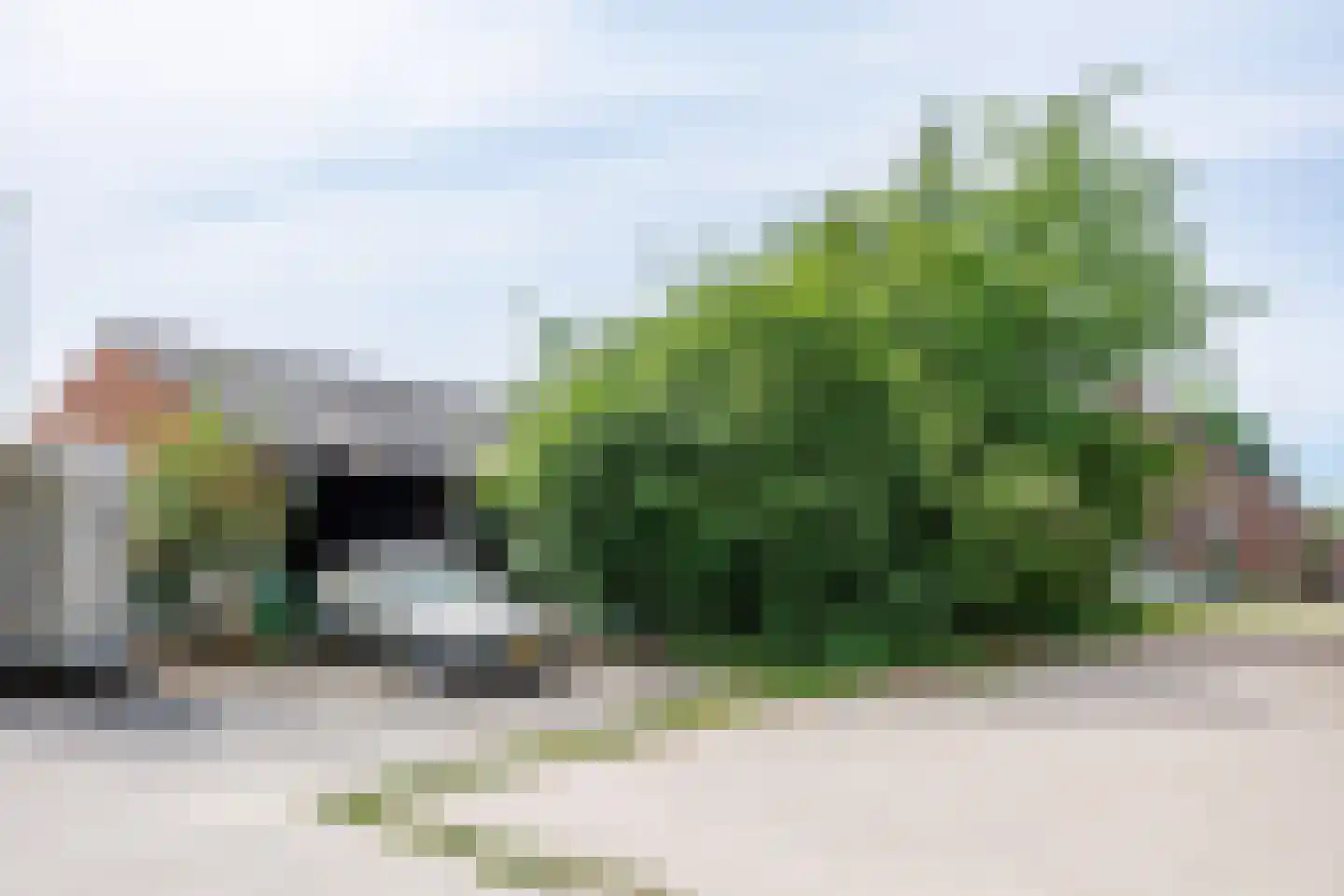 Augustinusweg 30 Siebengewald thumbnail 20