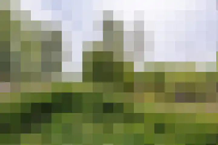 Augustinusweg 30 Siebengewald thumbnail 21