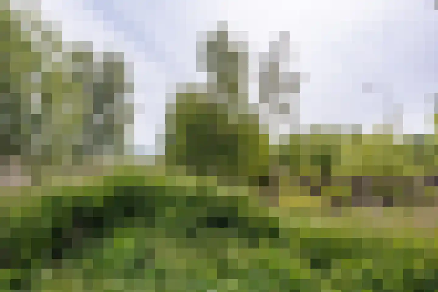 Augustinusweg 30 Siebengewald thumbnail 21