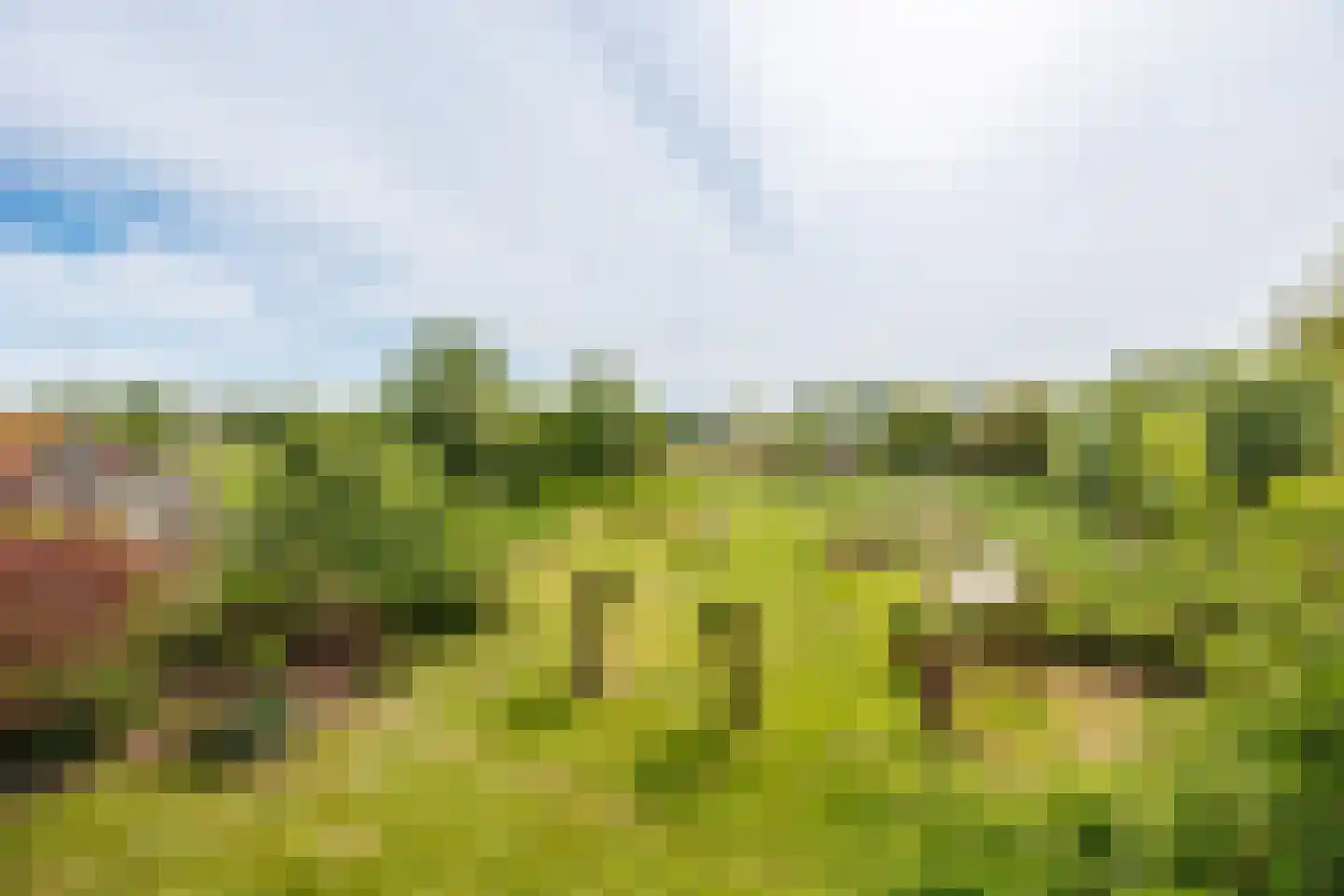 Augustinusweg 30 Siebengewald thumbnail 25