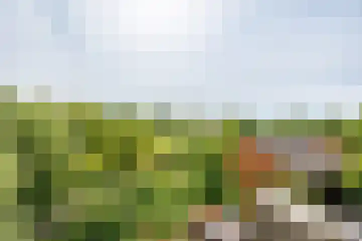Augustinusweg 30 Siebengewald thumbnail 26