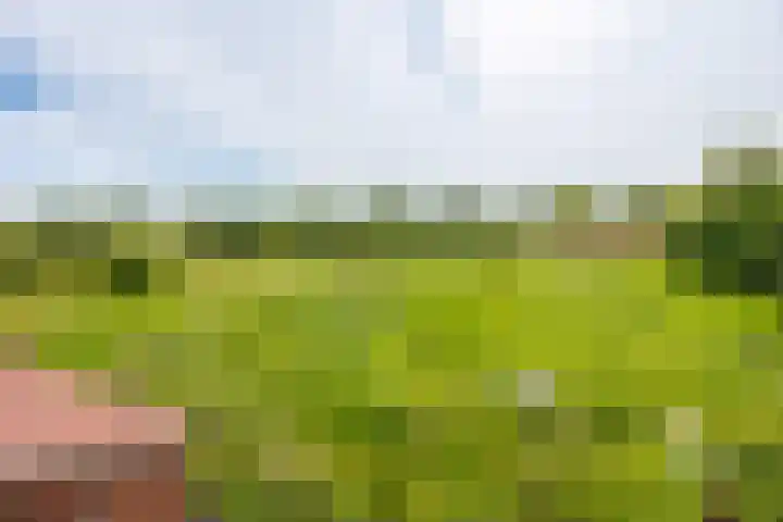 Augustinusweg 30 Siebengewald thumbnail 27