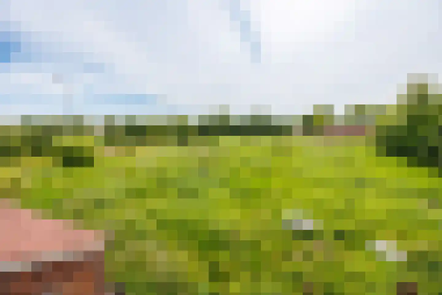 Augustinusweg 30 Siebengewald thumbnail 27