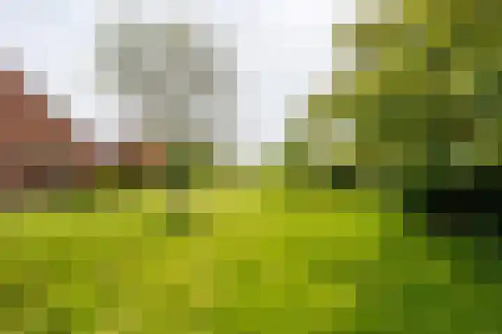 Augustinusweg 30 Siebengewald thumbnail 5